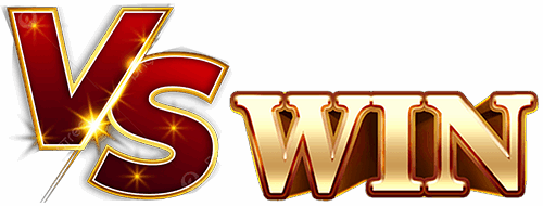Logo Vswina1
